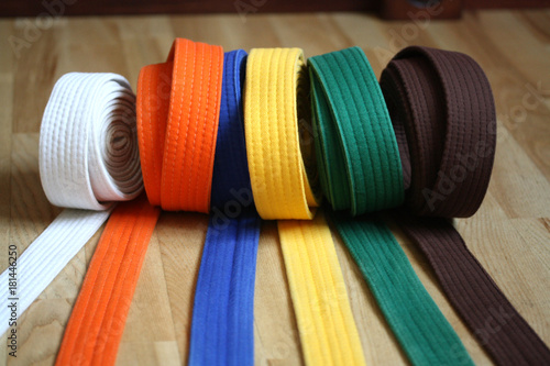 Martial Arts Colorful Karate Belt