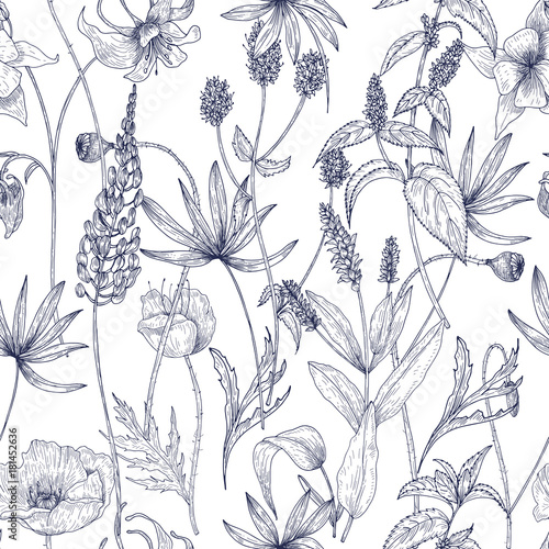 Hand drawn monochrome floral seamless pattern with gorgeous vintage wild flowers, herbs and herbaceous plants on white background. Botanical vector illustration in antique style.