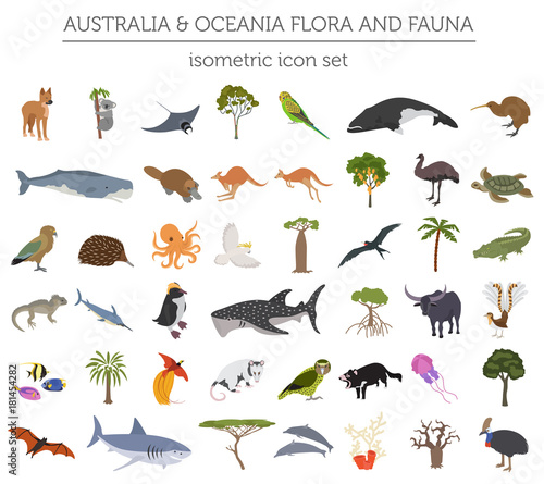 Isometric 3d Australia and Oceania flora and fauna map elements. Animals, birds and sea life. Build your own geography infographics collection