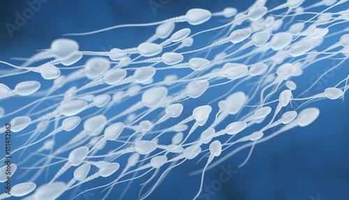 Human sperm flow
