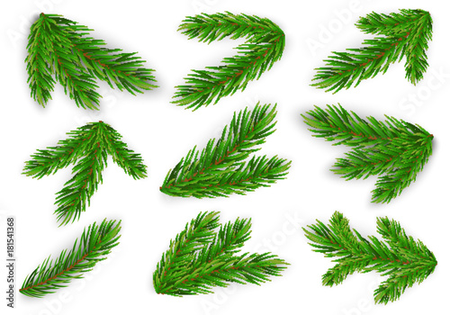 Set of fir branches. Christmas tree, pine. Vector Eps10