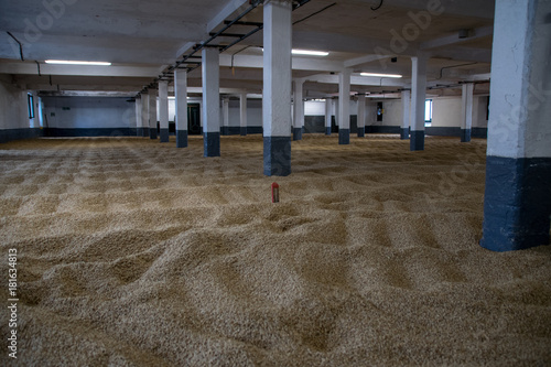 Barley malting floors