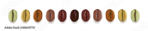 Coffee beans set showing various stages of roasting isolated on white background vector illustration
