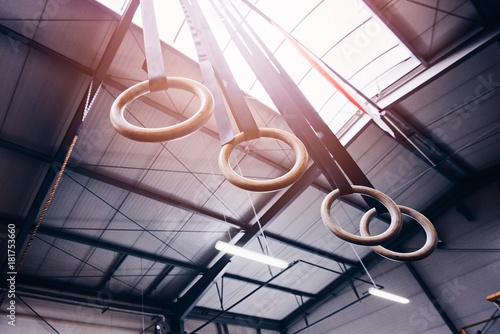 Wooden gymnastic rings