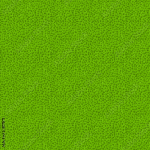 seamless texture of lime skin