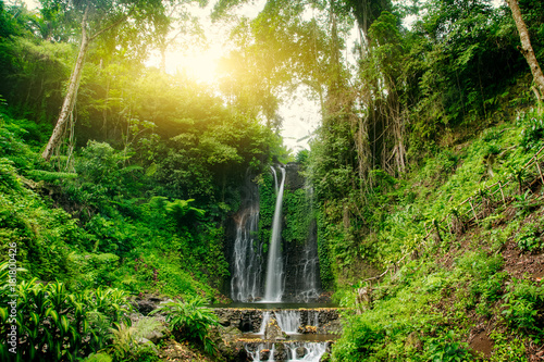 Beautiful waterfall in green forest. Nature landscape background