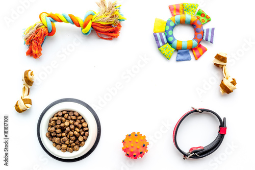 Concept pet care, playing and training. Toys, accessories and feed on white background top view copyspace