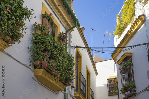 Narrow streets and typical houses of Cordoba, Spain