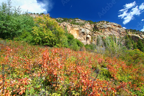 Rocky Mountain National Park Landscape