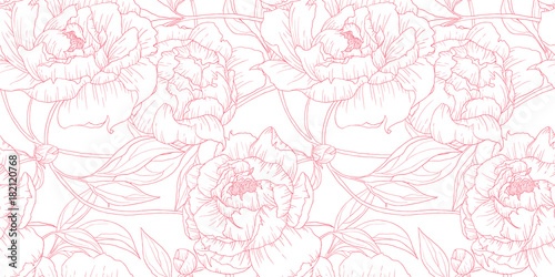 Seamless pattern, hand drawn outline pink Peony flowers on white background