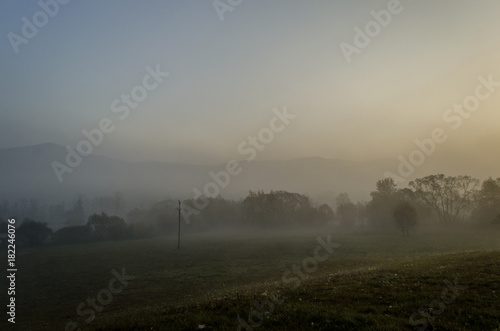 pola, mgła 
