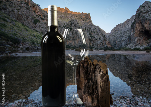 red wine bottle with glass and tree fossil. mountains and watter background