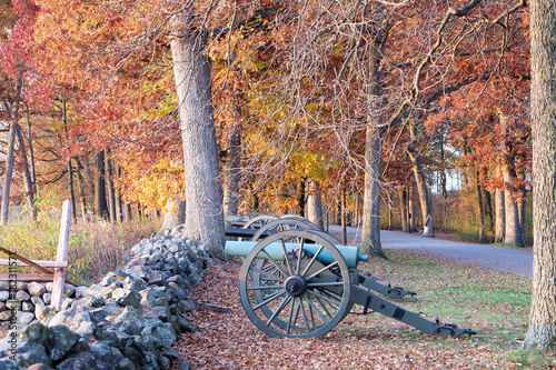 Canons In Fall