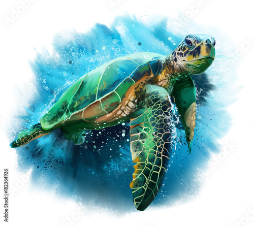 Big sea turtle watercolor painting