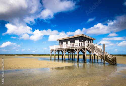 beautiful house in the basin of Arcachon