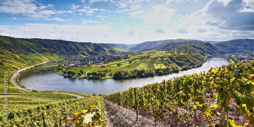 Moselschleife und Weinberge 