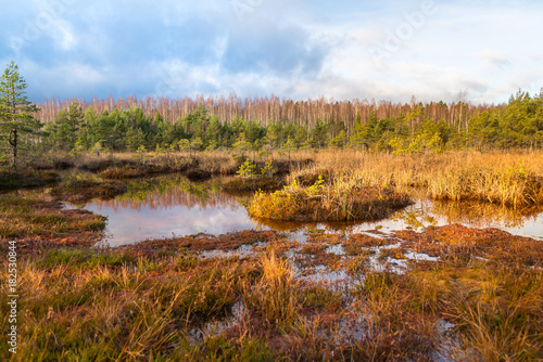 Landscape, Sulphur isotopic bog