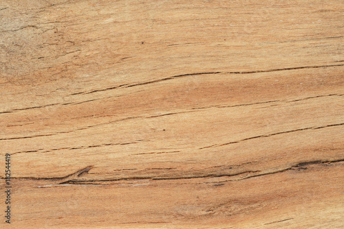 Abstract background- wood texture