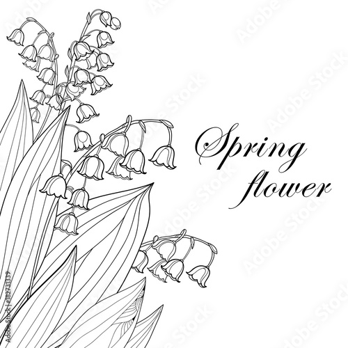 Vector bouquet with outline Lily of the valley or Convallaria flower and leaf in black isolated on white background. Ornate May bells in contour style for spring design, invitation or coloring book.
