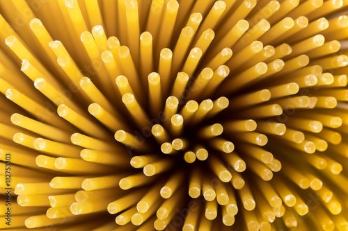 Spaghetti pasta macro