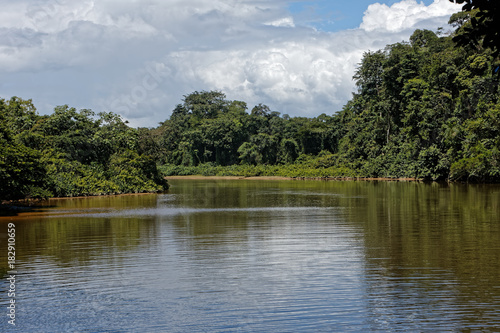 La rivière Comté vue des rives du bourg hmong de Cacao, commune de Roura en Guyane française