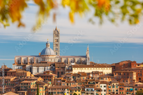 Beautiful view of Dome and campanile of Siena Cathedral, Duomo di Siena, and Old Town of medieval city of Siena in the sunny day through autumn leaves, Tuscany, Italy