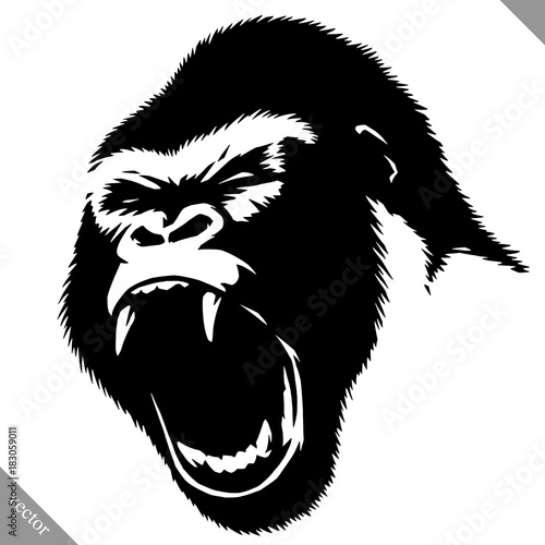 black and white linear paint draw monkey vector illustration