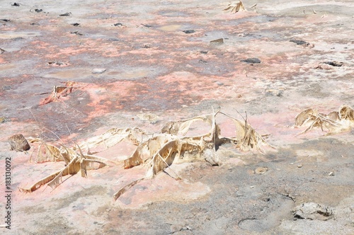 Soil salinity smelly old salinization with mold funghi coating, ground place detail on Antiparos island, Greece