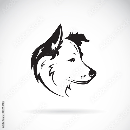 Vector of a border collie dog on white background. Pet. Animal.