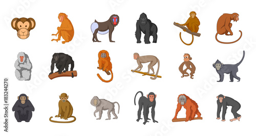 Monkey icon set, cartoon style