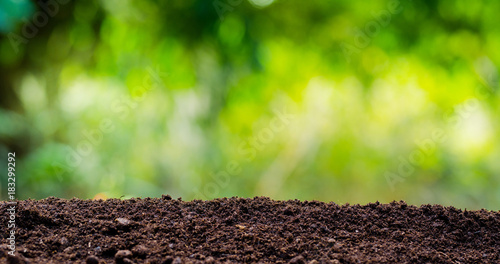 soil texture with green background