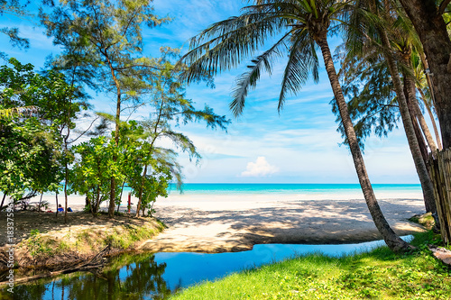 beach and palms in paradise thailand island