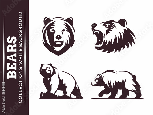 Bears collections - vector illustration on white background