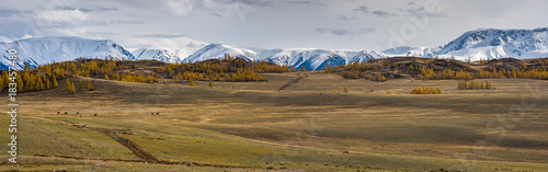 Mountain panorama of the Kuray steppe