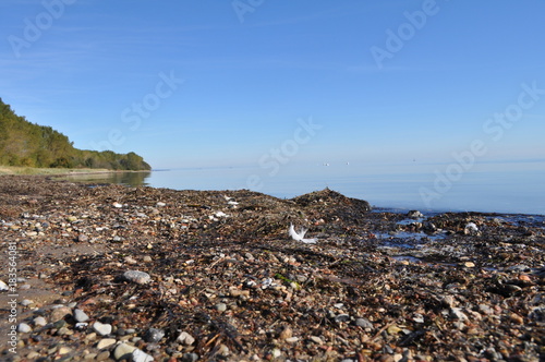 Hochufer am Naturstrand "Gelbes Ufe" Grabow, udar