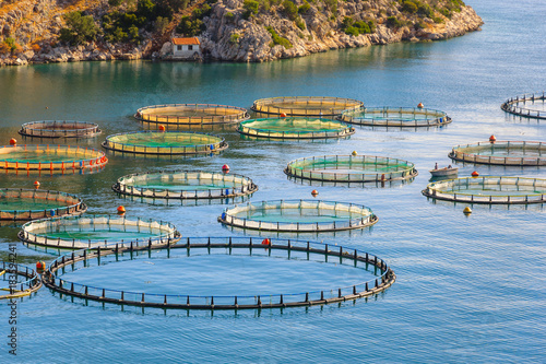 Fish farming in the sea, Greece. Cage system of fish cultivation