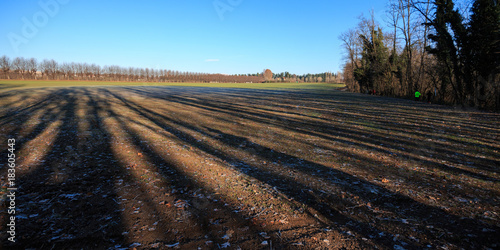 campi coltivati nel parco del Lura - Lomazzo (Como)