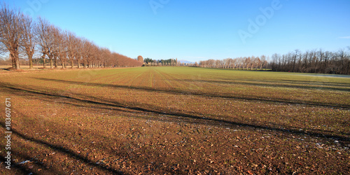 campi coltivati nel parco del Lura - Lomazzo (Como)