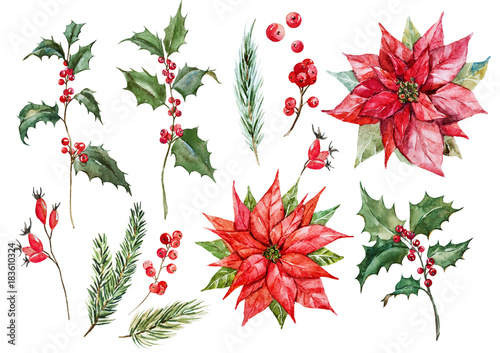 Watercolor christmas poinsettia set