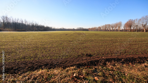 campi coltivati nel parco del Lura - Lomazzo (Como)