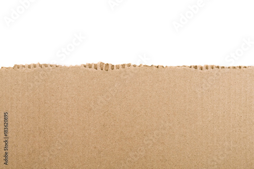 Torn cardboard Paper with space for text