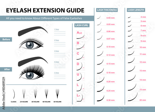 Eyelash extension guide. Different Types of False Eyelashes. Infographic vector illustration. Template for Makeup and cosmetic procedures. Training poster