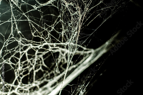 spider web, background, abstraction