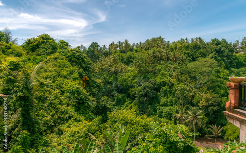 view of tropical mountains from balcony in bali. indonesia