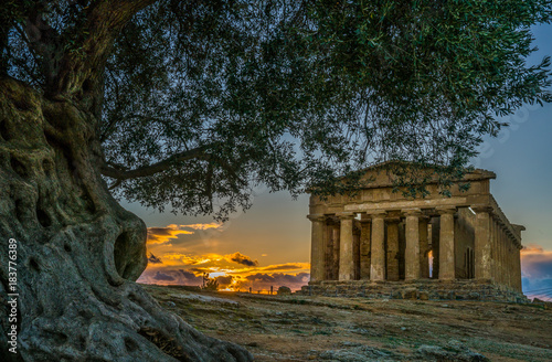 Tempio delle Concordia, Valle di Templi, Valley of Temples, Agrigento, Sicily