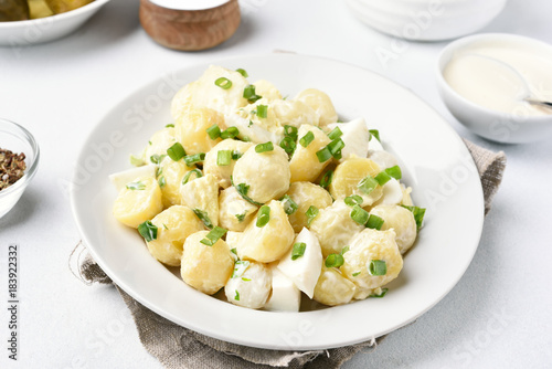 Tasty potato salad with eggs and green onion