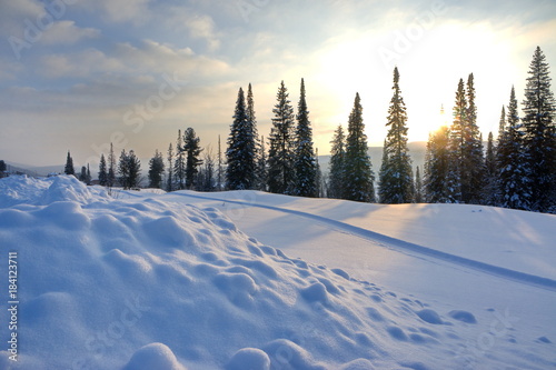 Яркий зимний пейзаж с солнцем и елями.