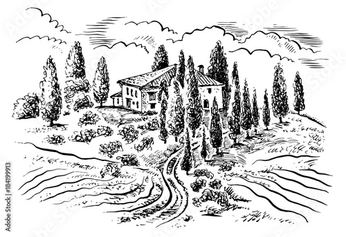 Tuscany landscape. Vector hand drawn graphic illustration.