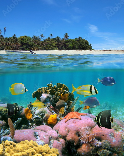 Over and under sea surface split image near a tropical island with sandy beach and colorful marine life with tropical fish underwater