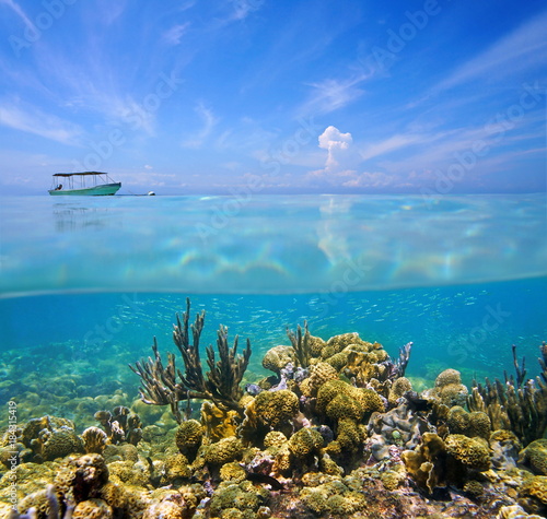Split view above and under the sea with a coral reef on the ocean floor and blue sky with a boat